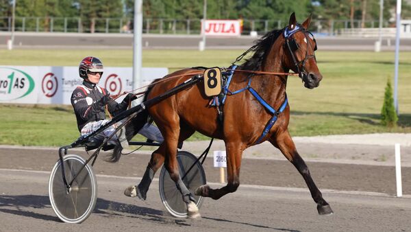 Her er express-tipsene