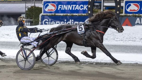 Flytter hester igjen