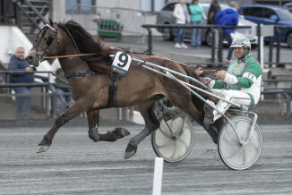 Ned flere klasser for Stilige Odin