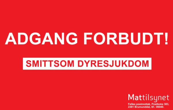 Flere er smittet