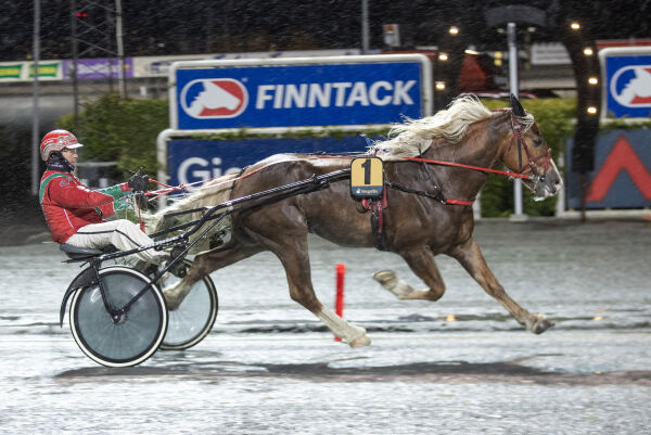 Formen peker til himmels