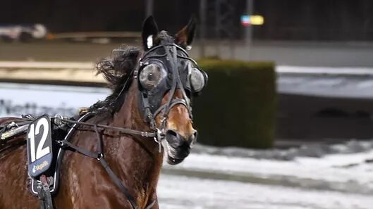 Tips V75 tirsdag