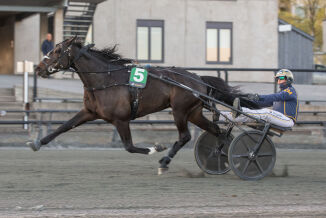 Vinner normalt i dette selskapet