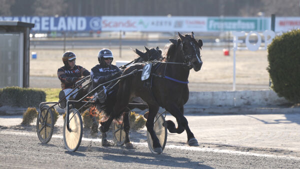 Victor innfrir som storfavoritt