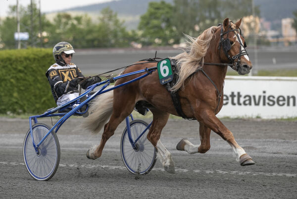 Wasserg innfrir med Stjernen