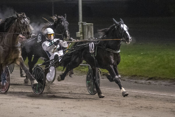 Viljar med solid form