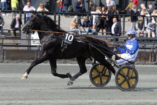 På vei mot eliten